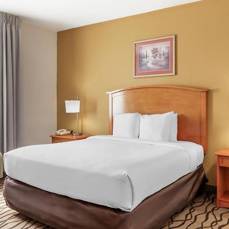 Comfort Inn & Suites Chesapeake - Portsmouth Eksteriør bilde