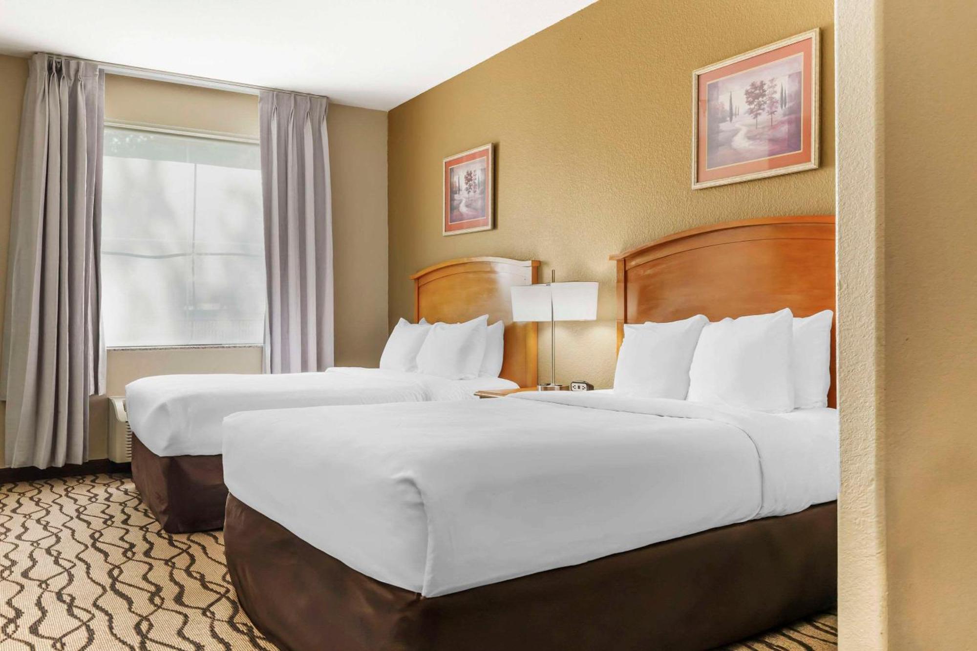 Comfort Inn & Suites Chesapeake - Portsmouth Eksteriør bilde
